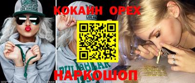 a pvp Новозыбков