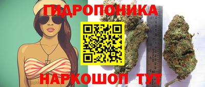 меф Новодвинск
