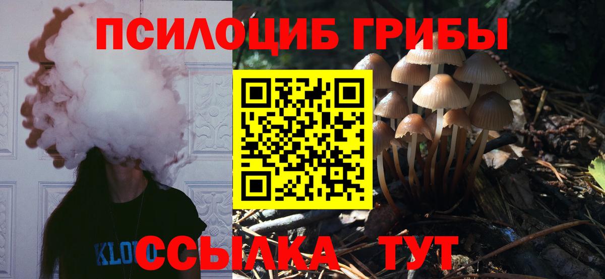 Галлюциногенные грибы Psilocybe  Псилоцибиновые грибы Magic Shrooms  Тихвин  даркнет сайт  Вход с VPN 
